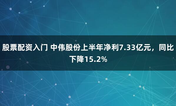 股票配资入门 中伟股份上半年净利7.33亿元，同比下降15.2%