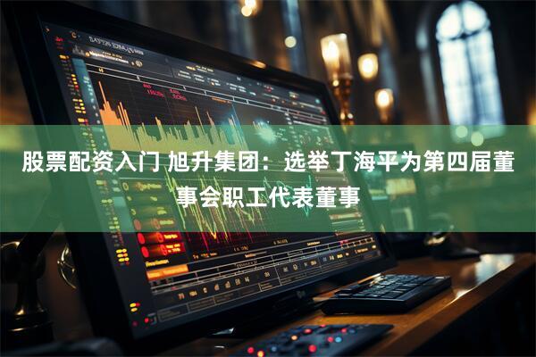 股票配资入门 旭升集团：选举丁海平为第四届董事会职工代表董事